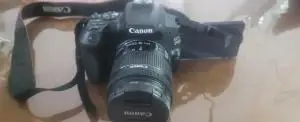 stock
