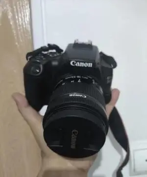 stock