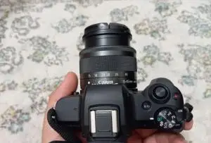 stock