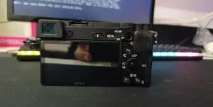 stock