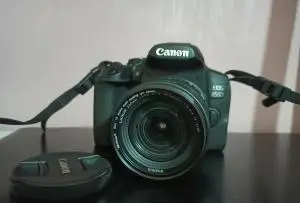 stock