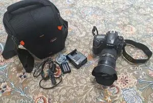 stock