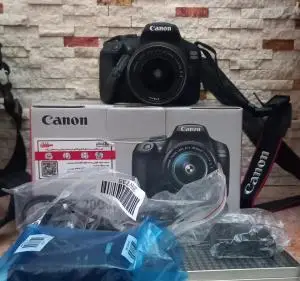 stock