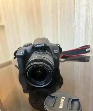 stock