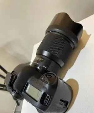 stock