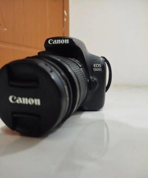 stock