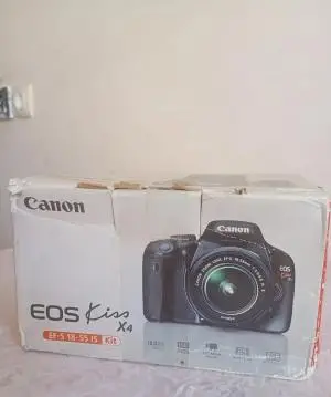 stock