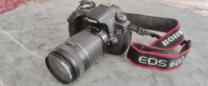 stock