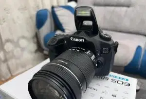 stock