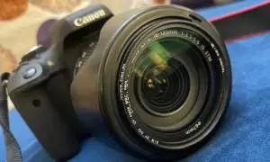stock