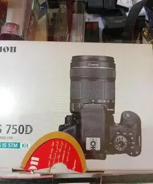 stock
