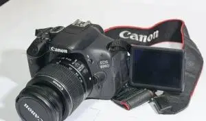 stock