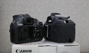 stock