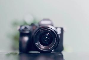 stock