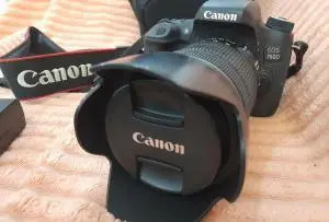 stock