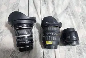 stock
