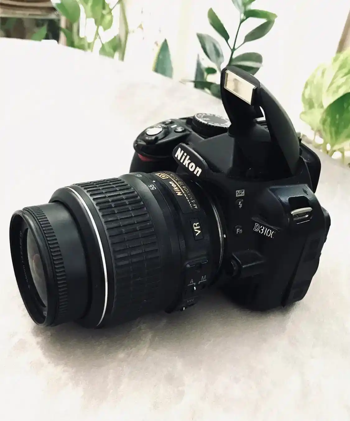 دوربین Nikon D3100 دست دو
