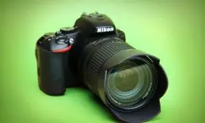 stock