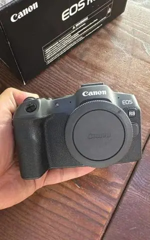 stock