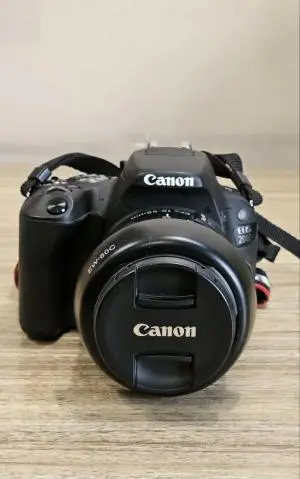 stock