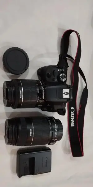 stock
