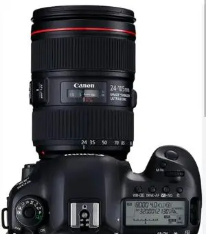 stock