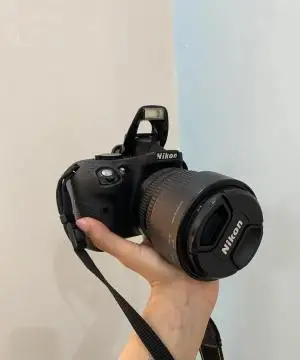 stock