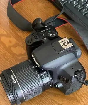 stock