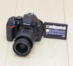stock