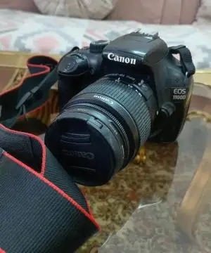 stock