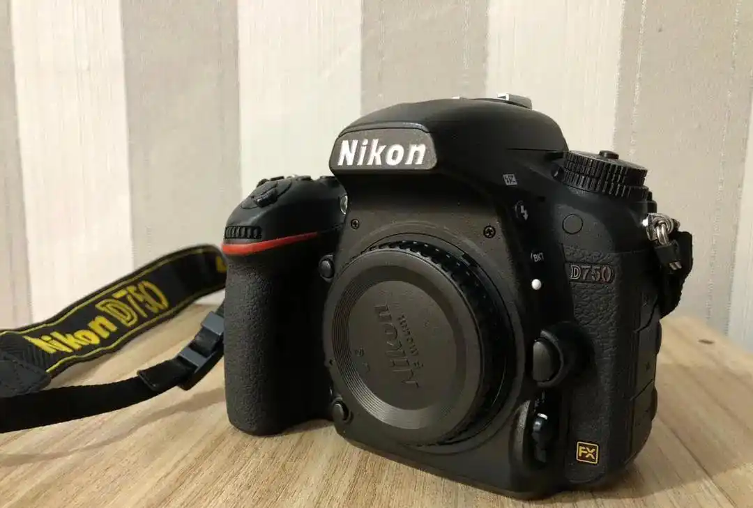 دوربین نیکون D750 دست دو