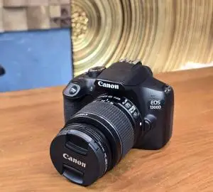 stock