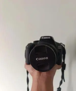stock