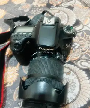 stock
