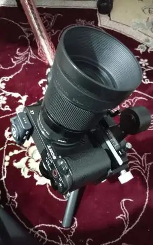 stock