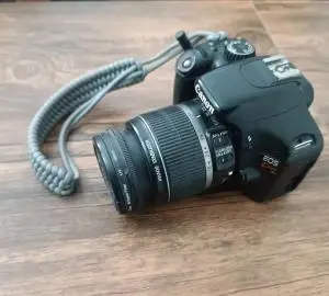 stock