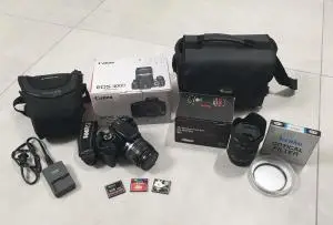 stock