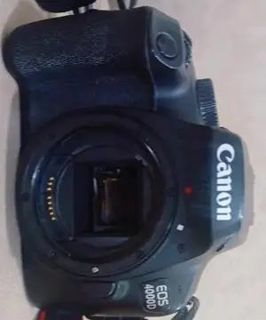 stock