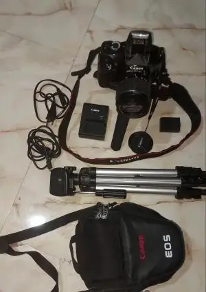 stock