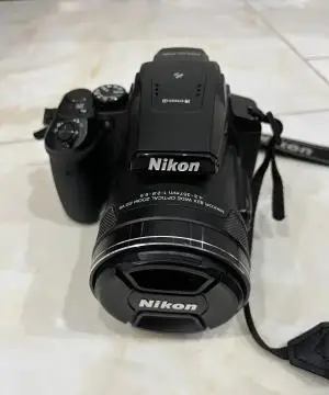 stock