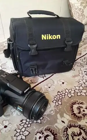 stock