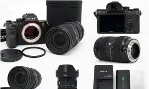 stock