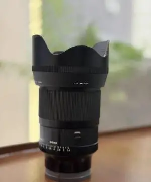 stock