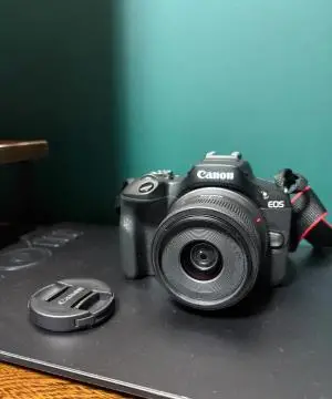 stock
