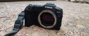 stock