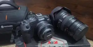 stock