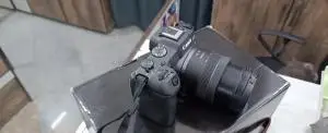 stock