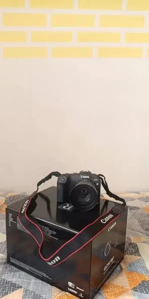 stock
