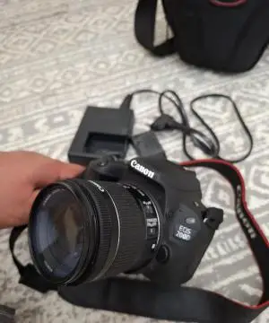 stock