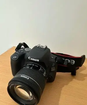 stock